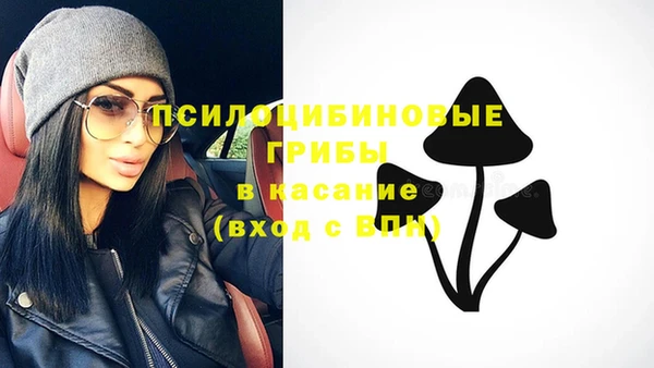 ПСИЛОЦИБИНОВЫЕ ГРИБЫ Аркадак