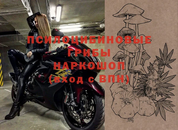 стафф Арсеньев