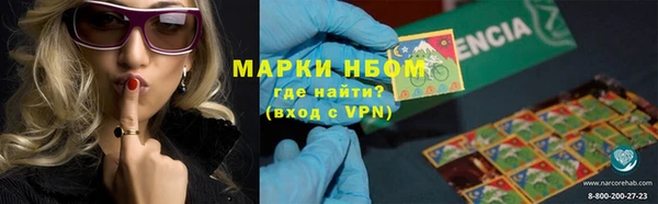 ПСИЛОЦИБИНОВЫЕ ГРИБЫ Аркадак