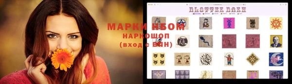 стафф Арсеньев