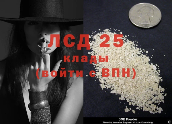 стафф Арсеньев
