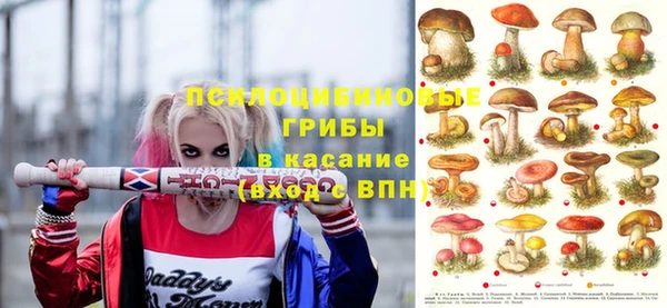 ПСИЛОЦИБИНОВЫЕ ГРИБЫ Аркадак