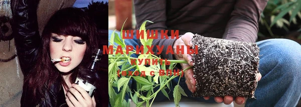 ПСИЛОЦИБИНОВЫЕ ГРИБЫ Аркадак
