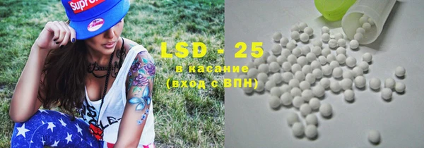стафф Арсеньев